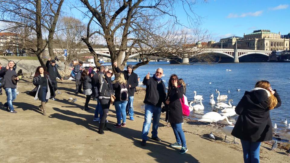 607_874520452657608_8931139746188710480_n